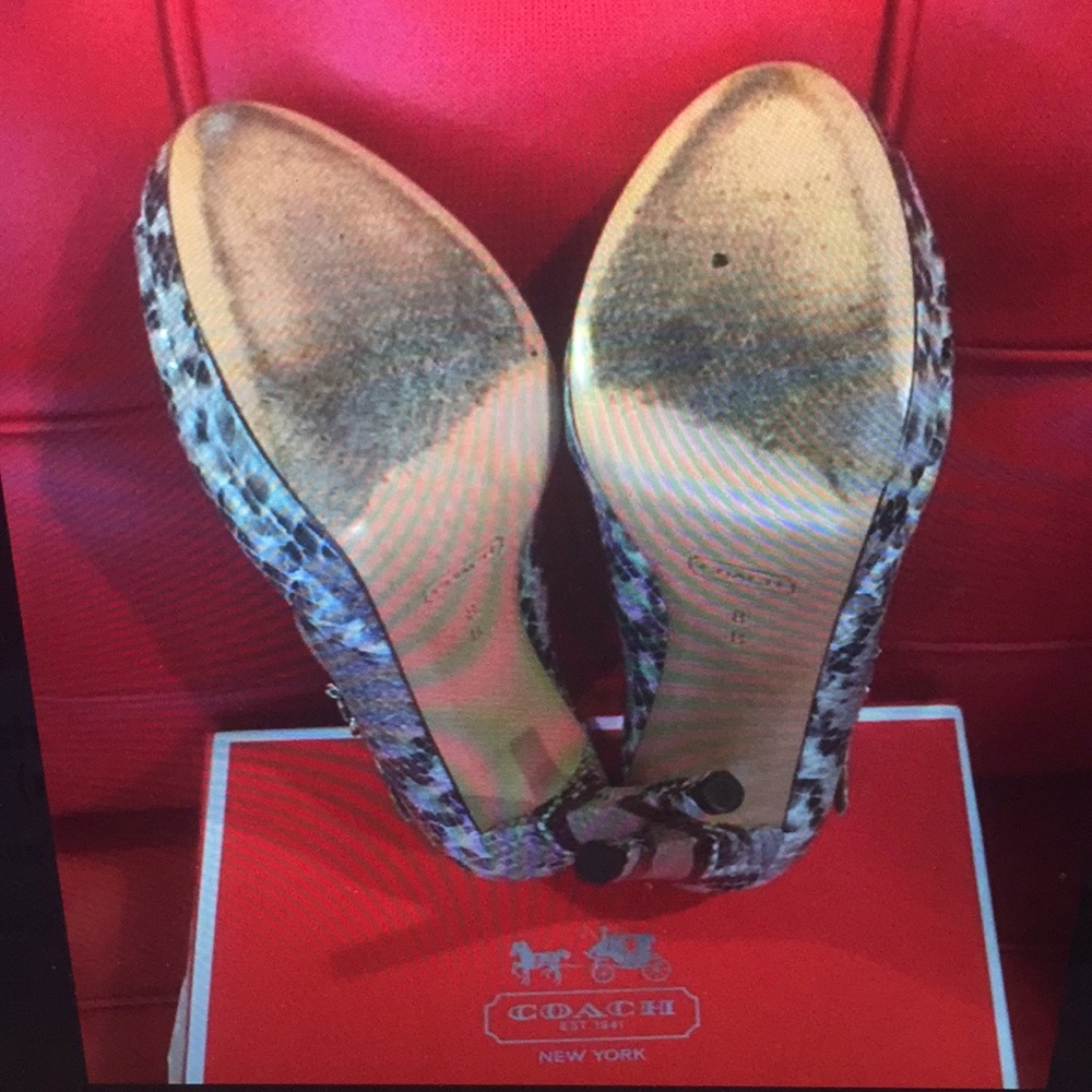 AUTHENTIC COACH SHOE - PRINTED SNAKE - Picture 5 of 5